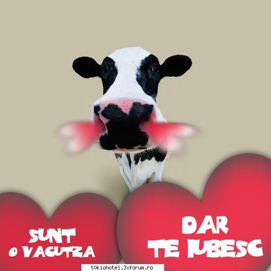 Bancuri - ia sa vd...ce bancuri mishto shtitzi? :D - Bancuri